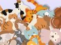 Játék Keresse meg a Kitty-t  online