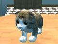 Játék Cat Simulator: Kitty Craft! online