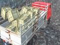Játék Offroad teherautó -sofőr online
