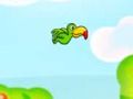Játék Toucan Bird  online