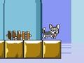 Játék Jump Husky úr  online