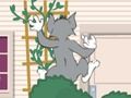 Játék Tom und Jerry: Wasserbomben Wahnsinn online