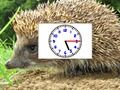 Játék Puzzle Pics órák  online
