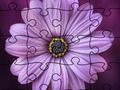 Játék Nyári puzzle  online