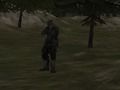 Játék FPS Ügynökség: Erdő  online