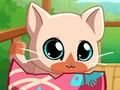 Játék A Pocket Pets Kitty Cat  online