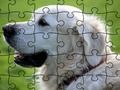 Játék Jigsaw Puzzle Háziasított állatok  online