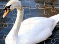 Játék Hattyú puzzle kihívás online