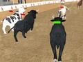 Játék Dühös Bull Racing  online