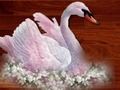 Játék Szerelem madarak puzzle  online