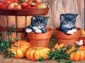 Játék Halloween festészet  online