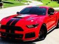 Játék Fancy Mustang különbségek  online