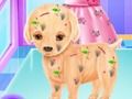 Játék Baby Elsa kölyökkutya online Játék Baby Elsa kölyökkutya online