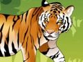Játék Dühös tigris színezés  online