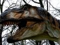 Játék T-Rex Dinoszaurusz Jigsaw online