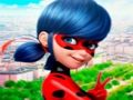 Játék LadyBug kirakós gyűjtemény  online