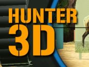 Játék Hunter 3D online