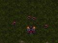 Játék Starcraft 3  online