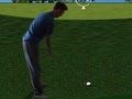 Játék Flash Golf 3D  online