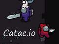 Játék Catac. io  online