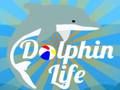 Játék Delfin élet  online