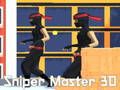 Játék Sniper Master 3D online