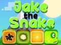 Játék Jake, a kígyó  online