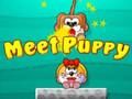 Játék Ismerje meg Puppy-t  online