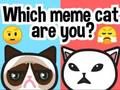 Játék Melyik mém macska vagy?  online