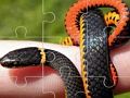 Játék Snakes Puzzle  online
