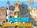 Játék Kép Drag Puzzle  online