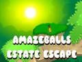 Játék Amazeeballs Estate Escape online