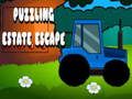 Játék Rejtélyes Estate Escape  online