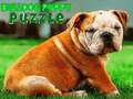 Játék Bulldog kölyökkutya puzzle online