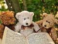Játék Bújó Három Teddy Jigsaw  online