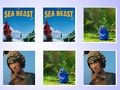 Játék A Sea Beast memóriakártya mérkőzés  online
