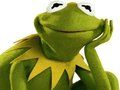 Játék Kifestőkönyv Kermit, a béka számára  online