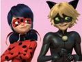 Játék Csodálatos katicabogár és Cat Noir kirakós játék  online