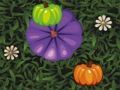 Játék Színes Pumpkin Match  online
