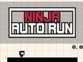 Játék Ninja Auto Run online