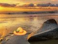 Játék Menekülés a Sunset Beachről  online