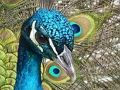Játék Puzzle készlet  online