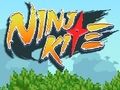 Játék Ninja sárkány online