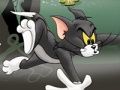 Játék Tom és Jerry Chase a Marsh -ban  online
