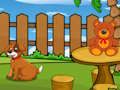 Játék Vicces Iguana Escape  online
