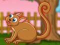 Játék Az aranyos Tarsier Escape  online