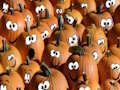 Játék Halloween kirakós játék  online