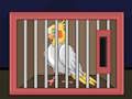 Játék Engedd el a The Cockatiel Bird-et  online