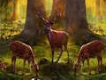 Játék Veszélyes Hunter Animal Escape  online