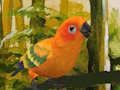 Játék Aranyos Budgie Puzzle  online